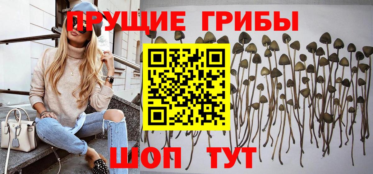 Псилоцибиновые грибы MAGIC MUSHROOMS Ахтубинск
